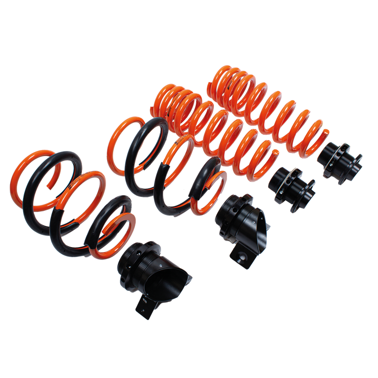 AST adjustable lowering springs for Nissan GTR 2007-